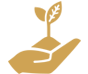 Application of Activated Carbons - Soil Remediation